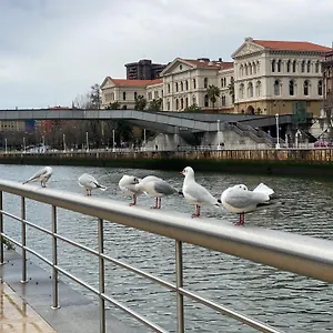 https://apartamento-moderno-centro.sansebastianhotels.net